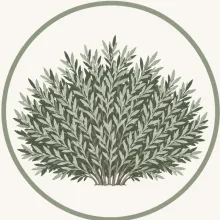 Проект  КУСТ