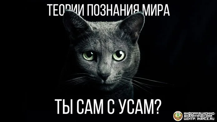 ГП — люди, или функция