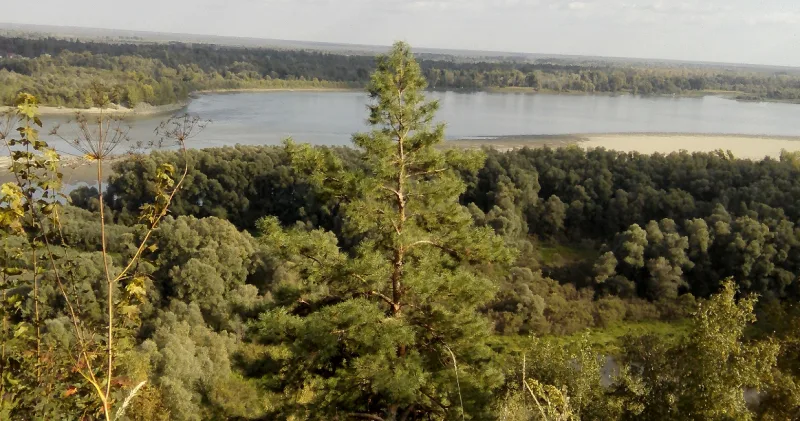Фото в комментарии