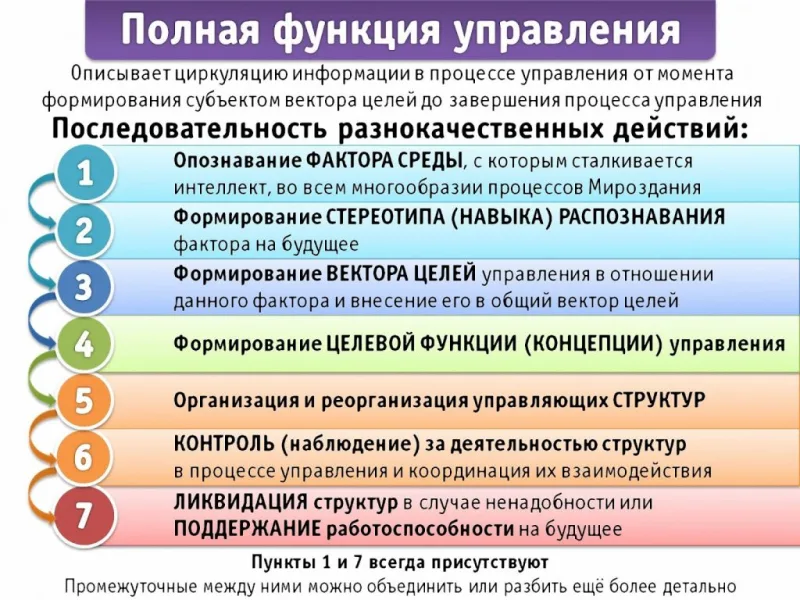 Самоорганизация общества