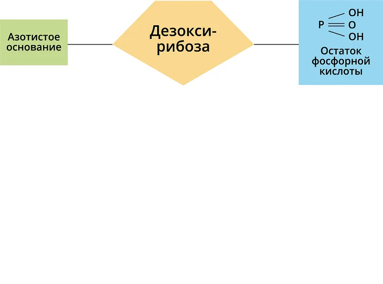 Фото в комментарии