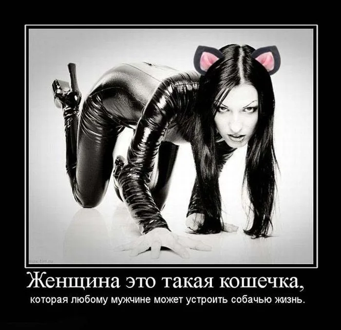 Фото в комментарии