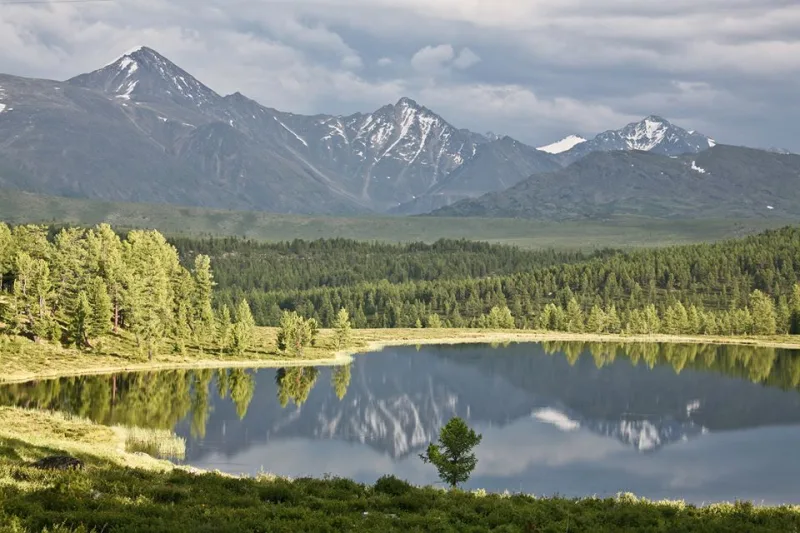 Фото в комментарии