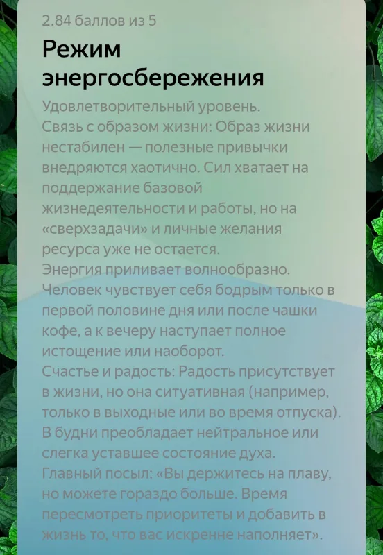 Фото в комментарии