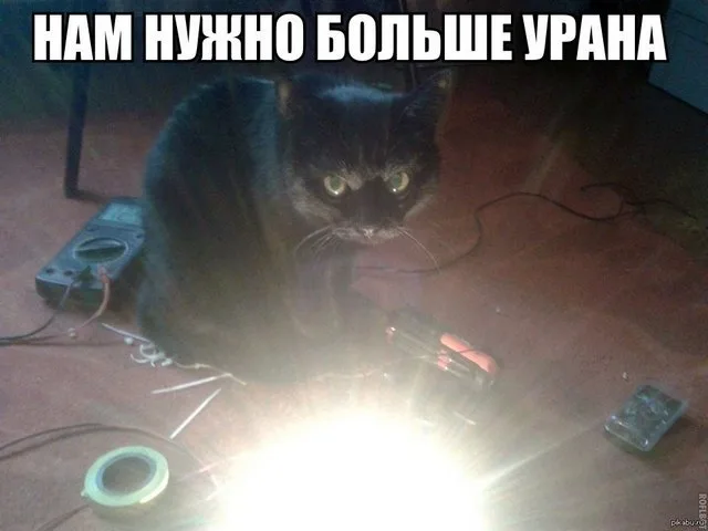 Фото в комментарии