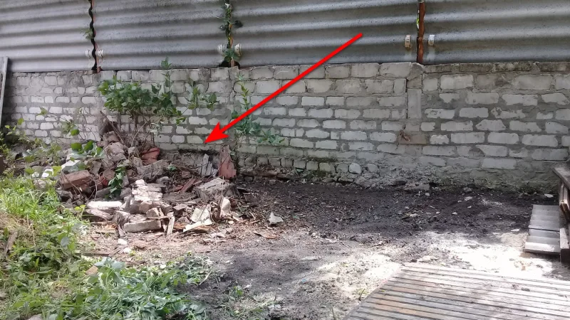 Фото в комментарии