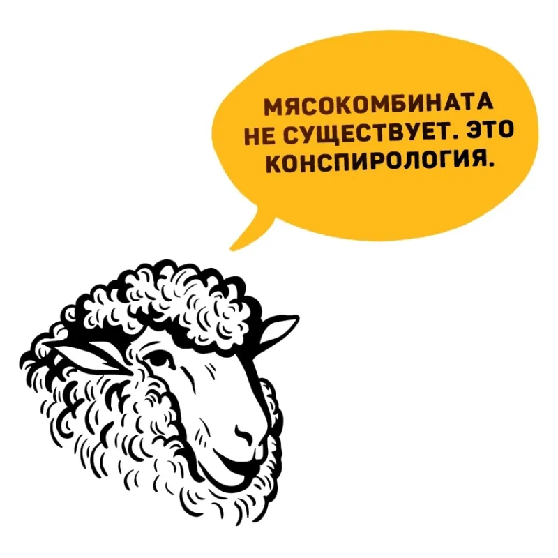 Фото в комментарии