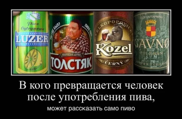 Фото в комментарии
