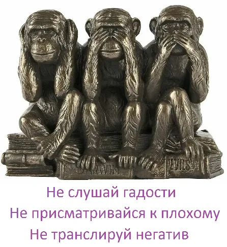 Фото в комментарии