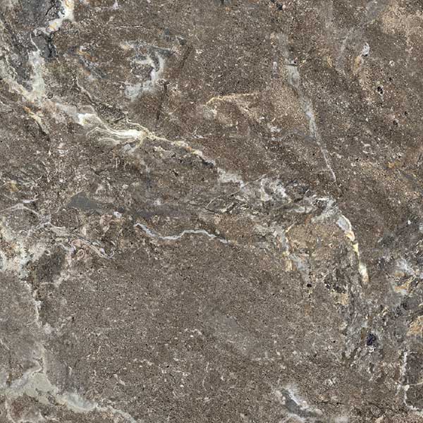 Керамогранит ONYX&MORE GOLDEN PORPHYRY STR 60X60 RET арт. 83961