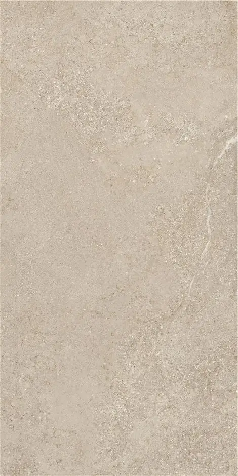 ARENITE NATURAL MT 60X120 арт. 74071