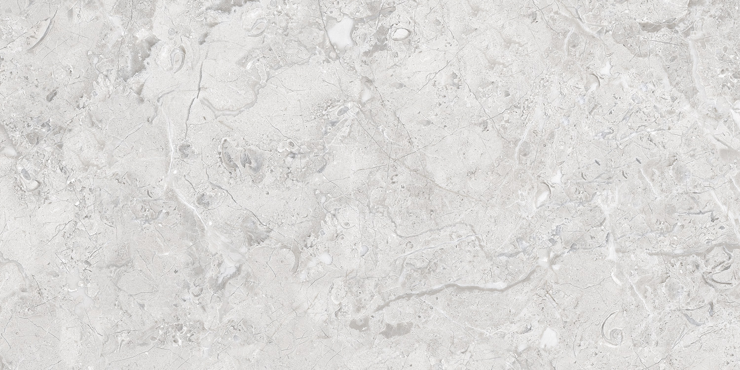 Керамогранит ELEGANCE Grey Glossy Silver Line 60x120 арт. 71799