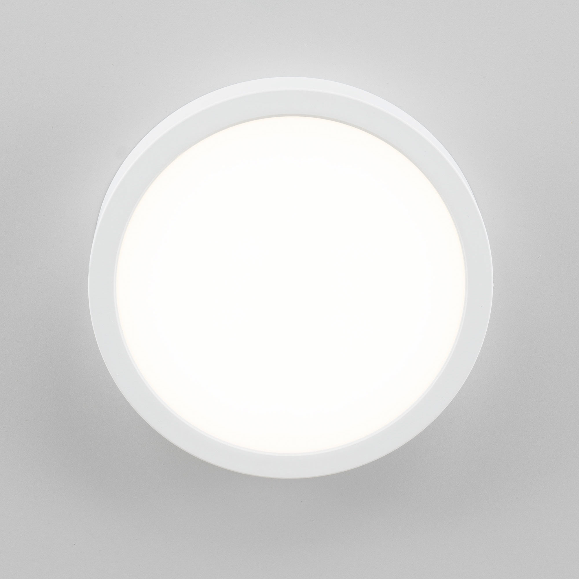 Citilux Галс CL5522N Светильник накладной светодиодный арт. 88922