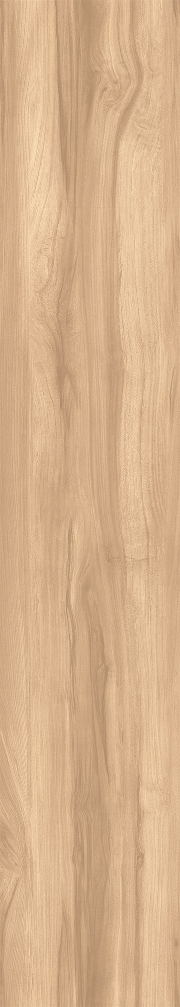 FOSSIL WOOD BRICH арт. 123080