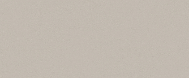 TRUE COLOR 50X120 FOSSIL MATT арт. 80381