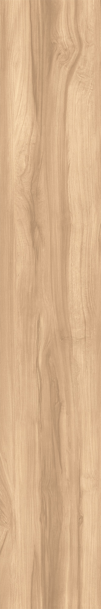 FOSSIL WOOD BRICH арт. 123080