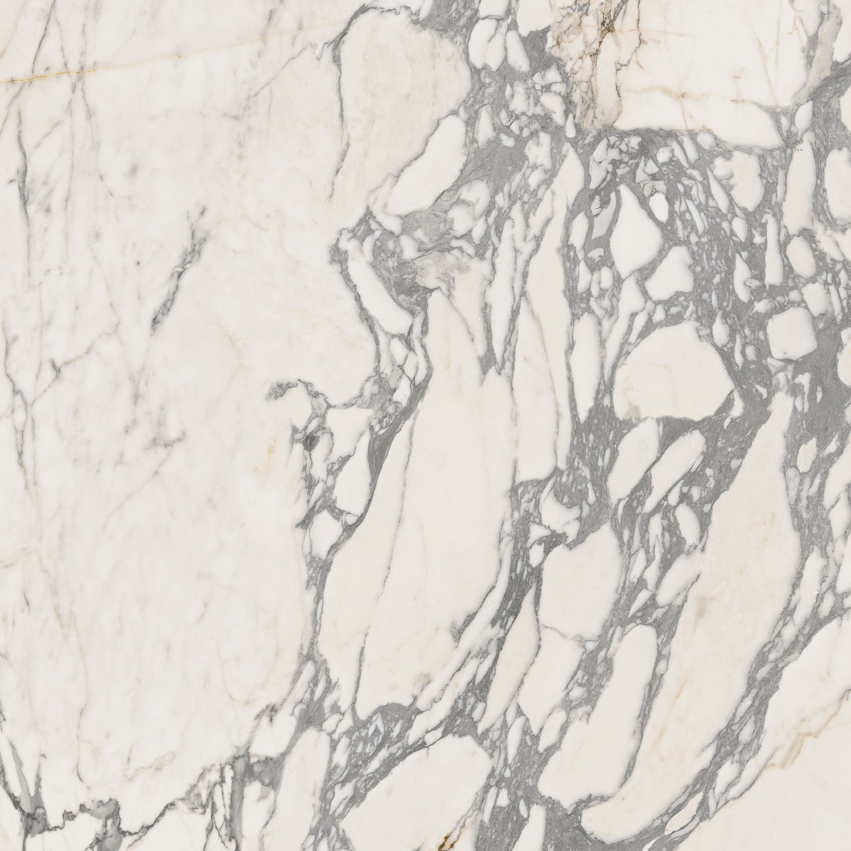 Керамогранит EPOQUE 21 ARABESCATO NAT RET 80X80 арт. 85237