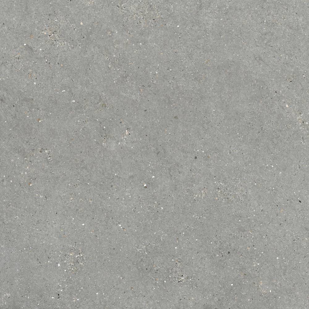 MITICA GRIS 120X120 REC. арт. 58061