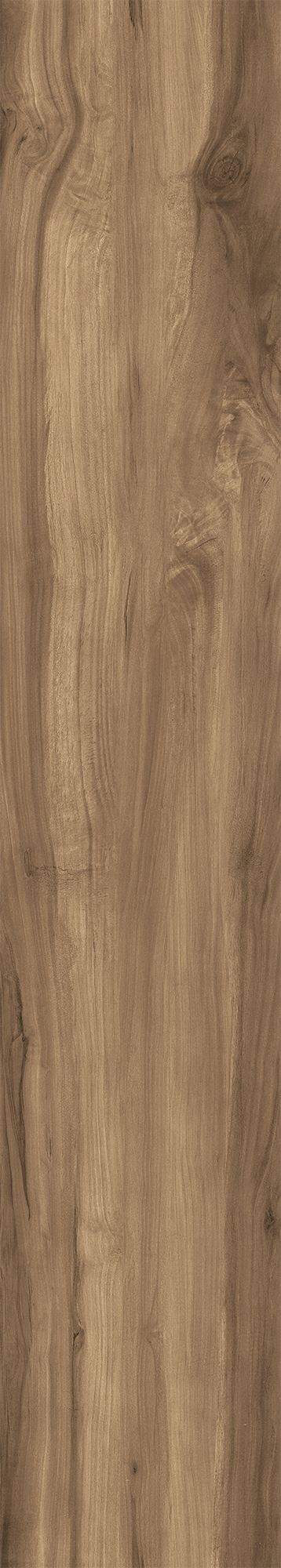 FOSSIL WOOD WENGE арт. 123091