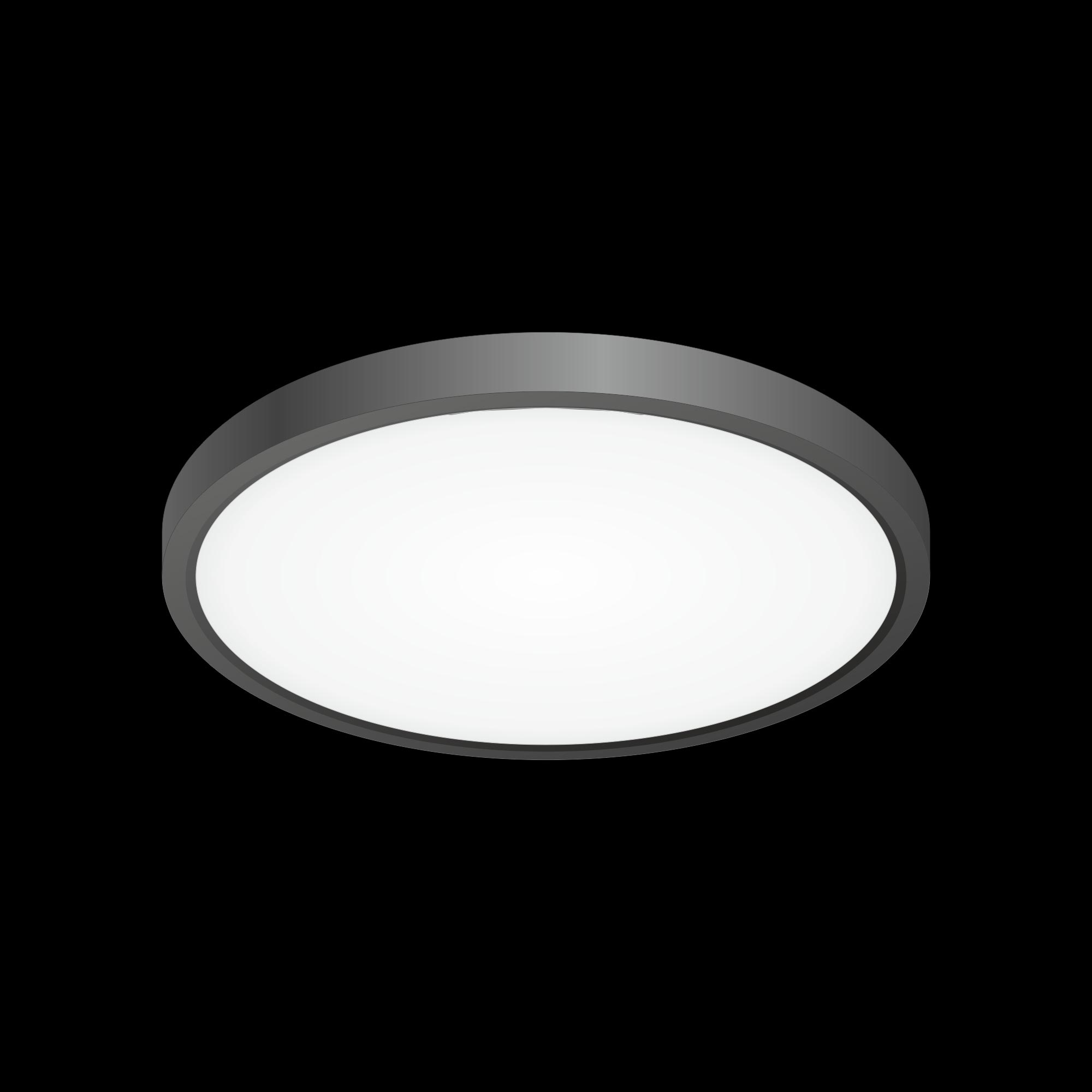 Citilux Бейсик CL738241V Светильник накладной Чёрный арт. 88455