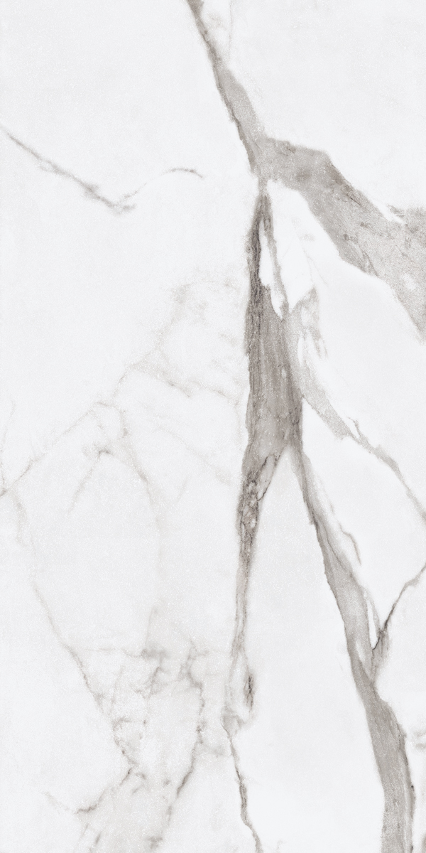Керамогранит EPOQUE WHITE STATUARIO RET 60X120 арт. 82781