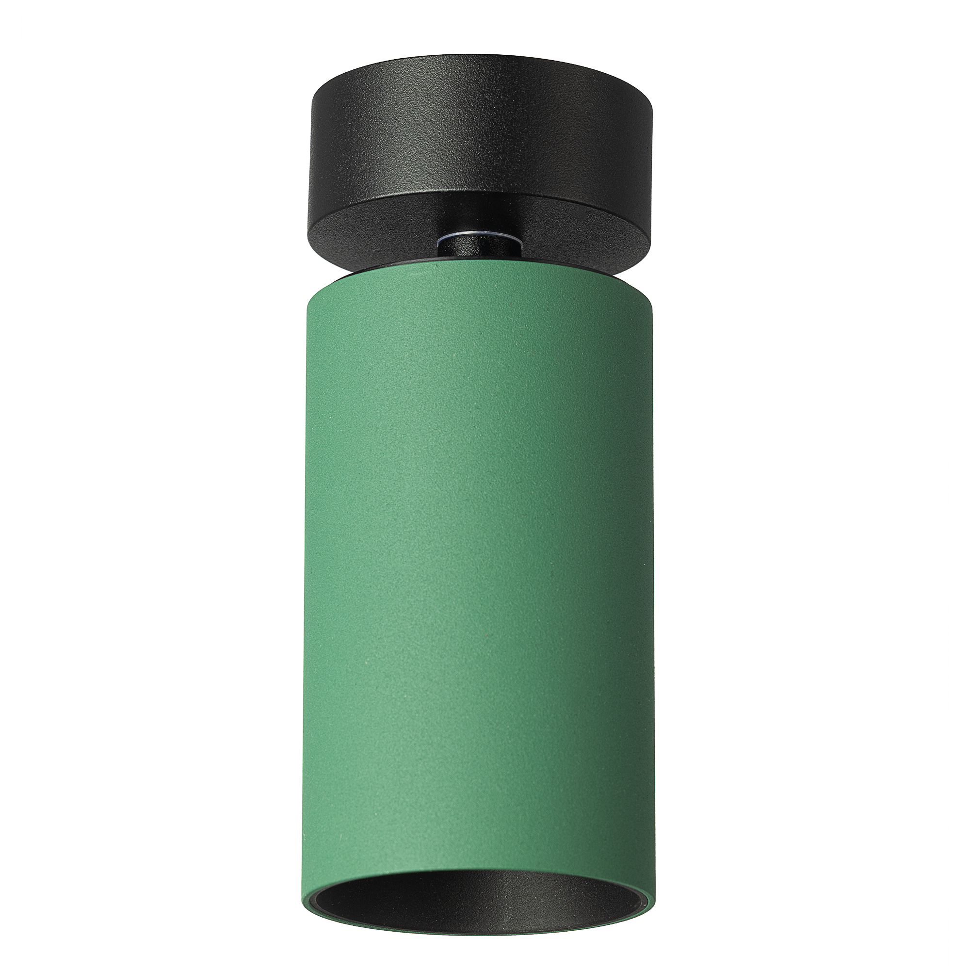 Citilux AXEL CL512215 Накладной поворотный светильник Зелёный арт. 129433