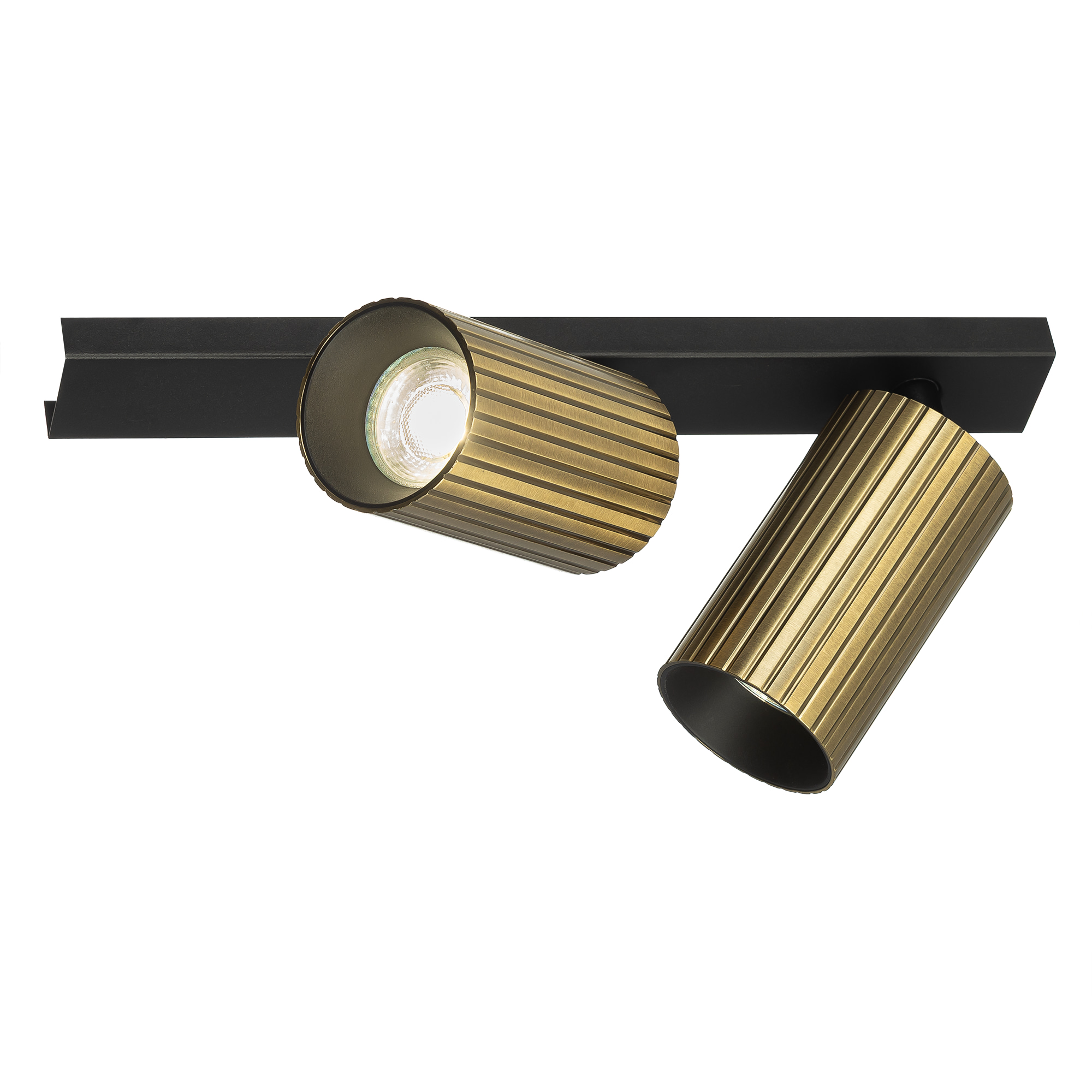Citilux AXEL CL512523R Спот поворотный двойной Бронза Рифлёный арт. 89829