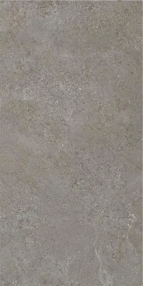 ARENITE DARK GREY MT 60X120 арт. 74074