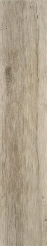 BLAZE NATURAL MT 23X120 арт. 74011