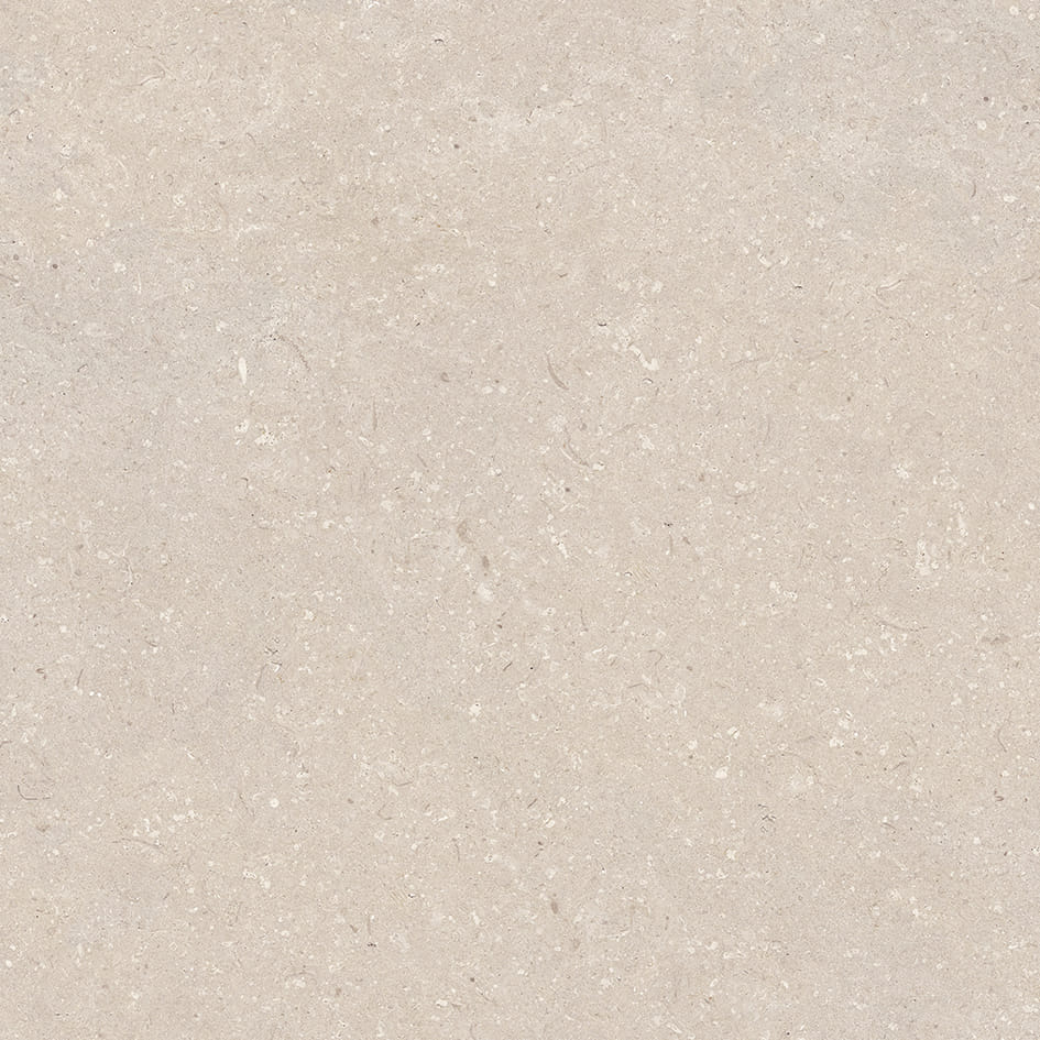 CORAL CALIZA L 80X80(A) арт. 124911