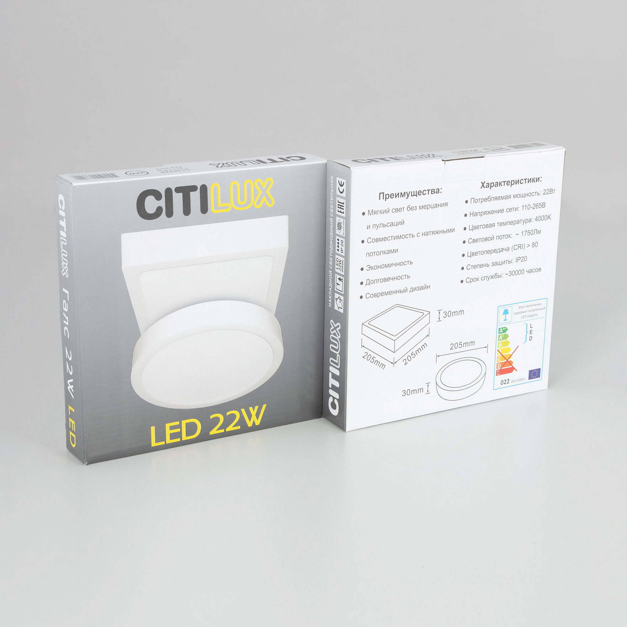 Citilux Галс CL5522N Светильник накладной светодиодный арт. 88922