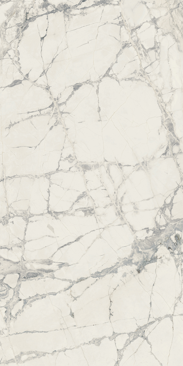 Керамогранит PREXIOUS REX MOUNTAINTREASURE MAT 60X120R арт. 83782