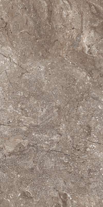 6405 Stone Grey Polished 60x120 (46,08) арт. 49861