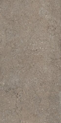 ДИСКАВЕР ДЕЗЕРТ 60X120 РЕТ арт. 80136