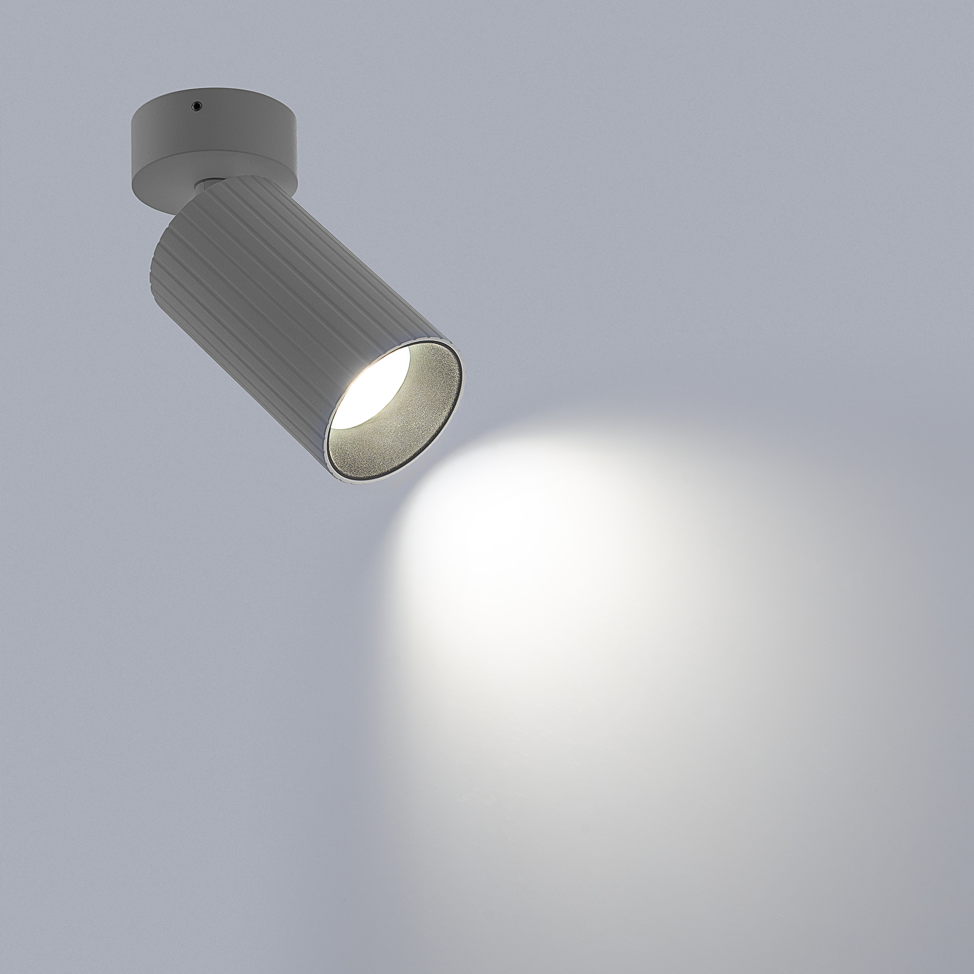 Citilux AXEL CL512210R Накладной поворотный светильник Белый Рифлёный арт. 124958