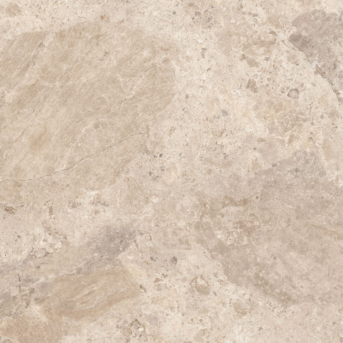 Керамический гранит  ERA BLOOM. TAUPE NAT R120X120 арт. 126252