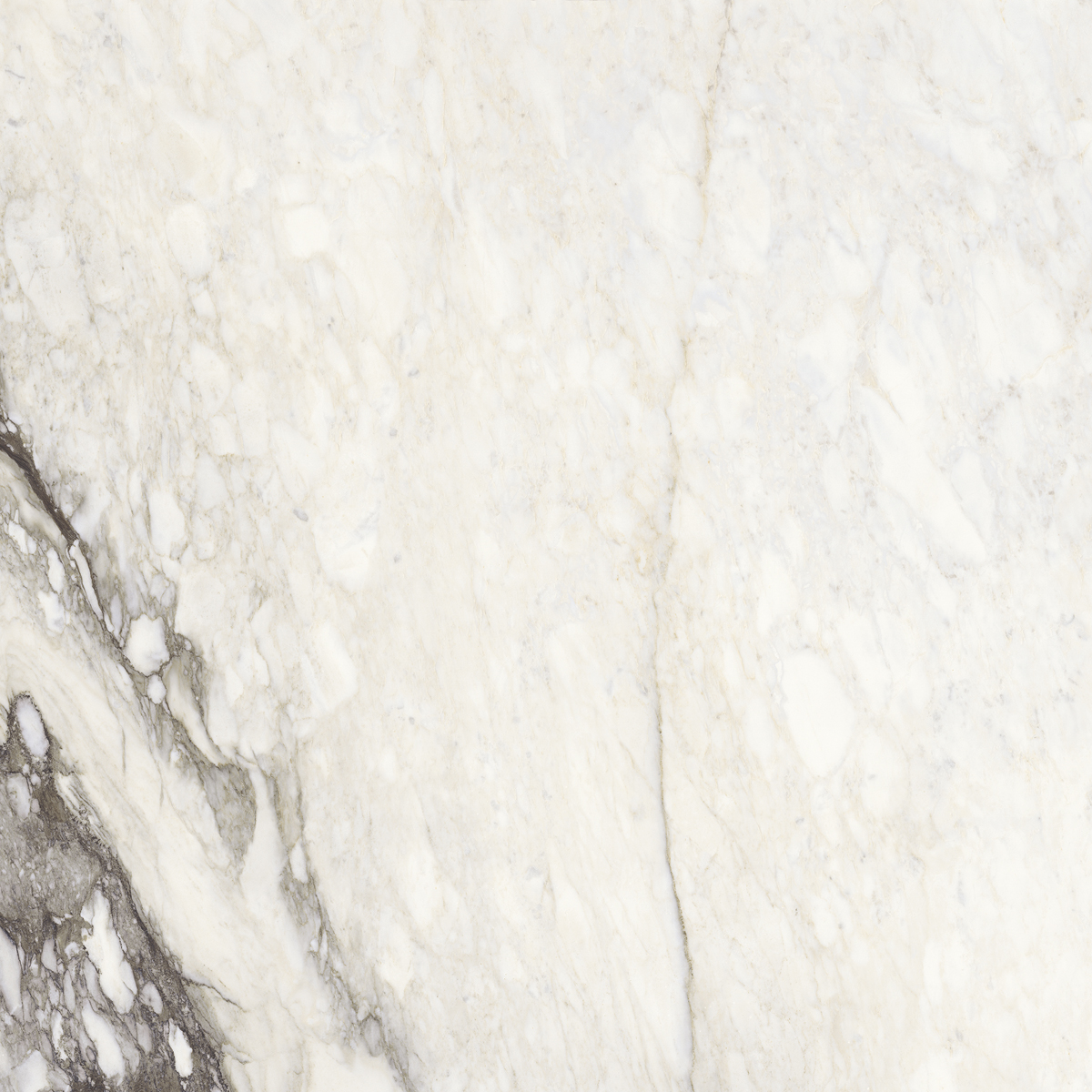 Керамогранит ETOILE RENOIR GLO 6MM 160X160 RET арт. 83564