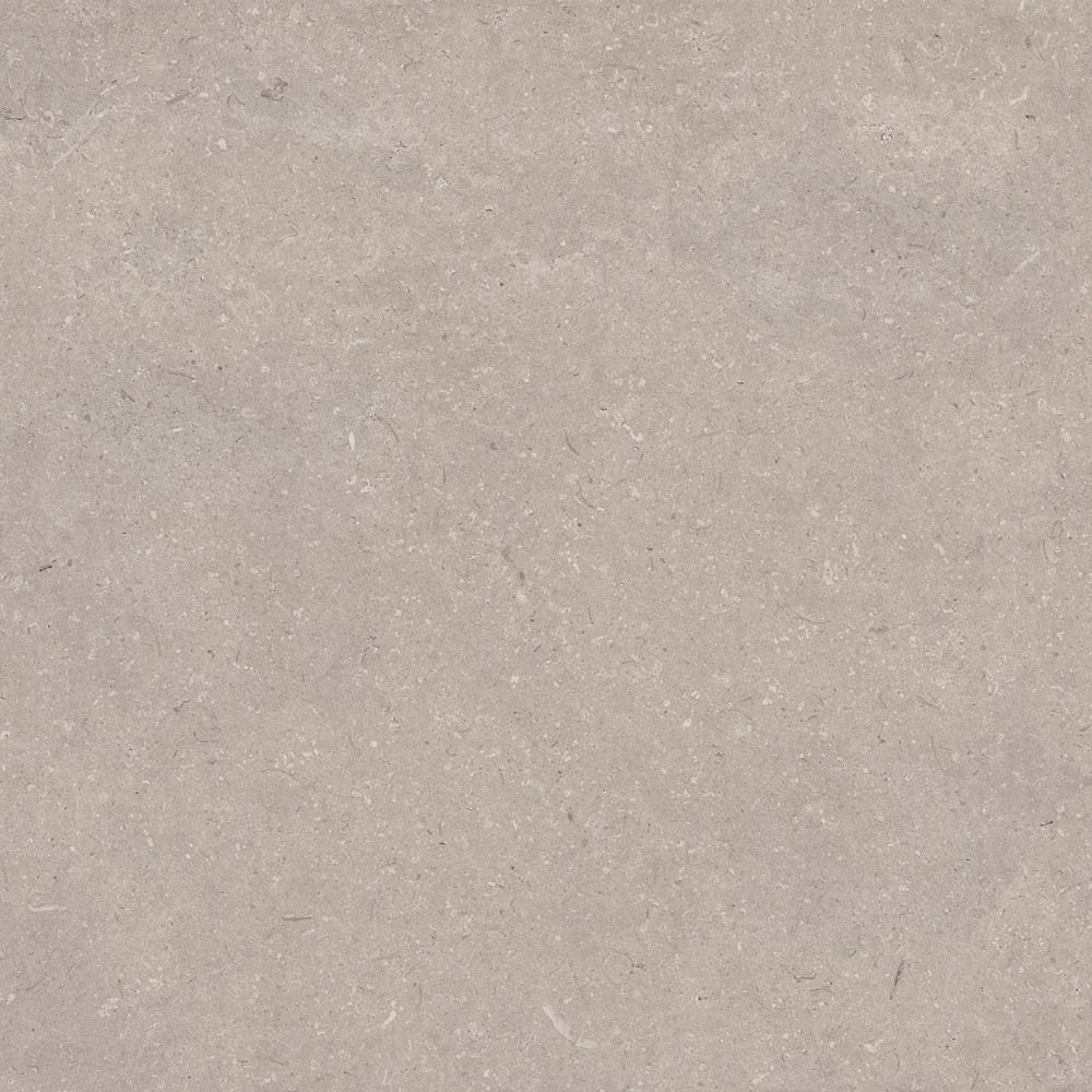 PORCELANOSA CORAL TOPO L 120х120 G-392 арт. 43691