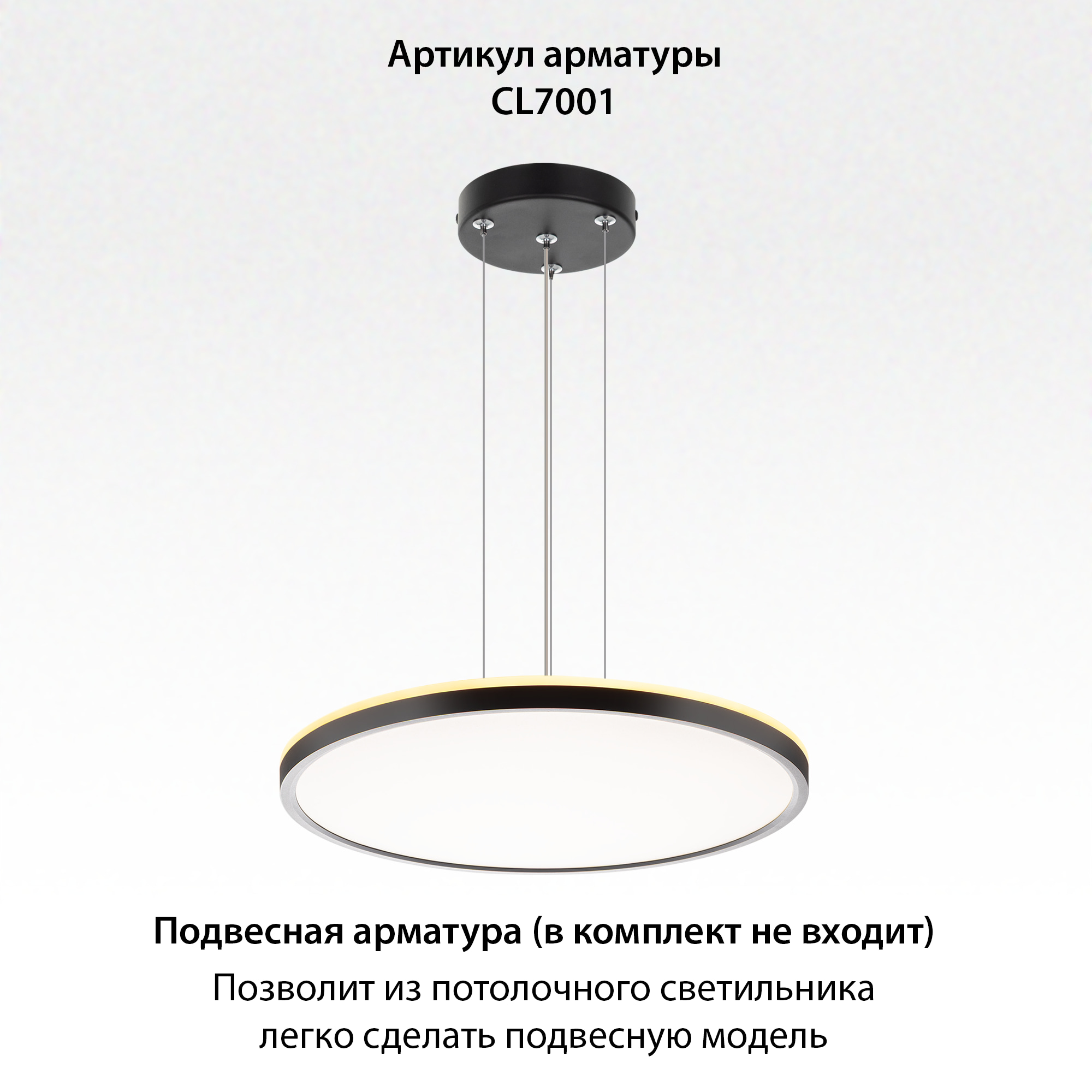 Citilux NORMA CL749401 LED RGB Светильник с пультом Чёрный арт. 89523