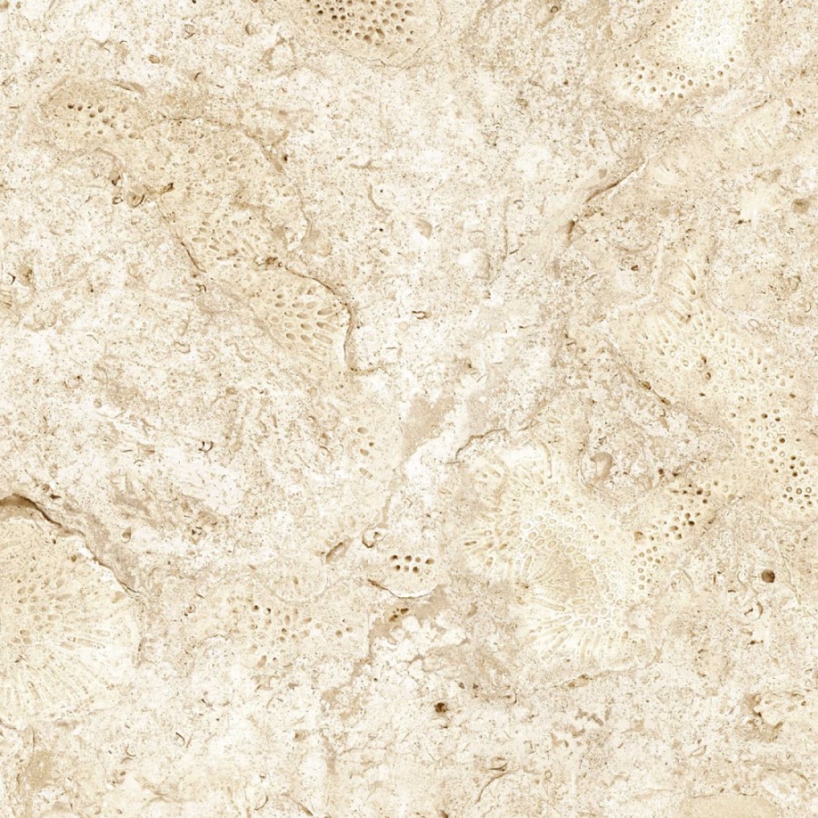 GRESPANIA COVERLAM CORALINA BLANCO 120x120x5.6 арт. 41643