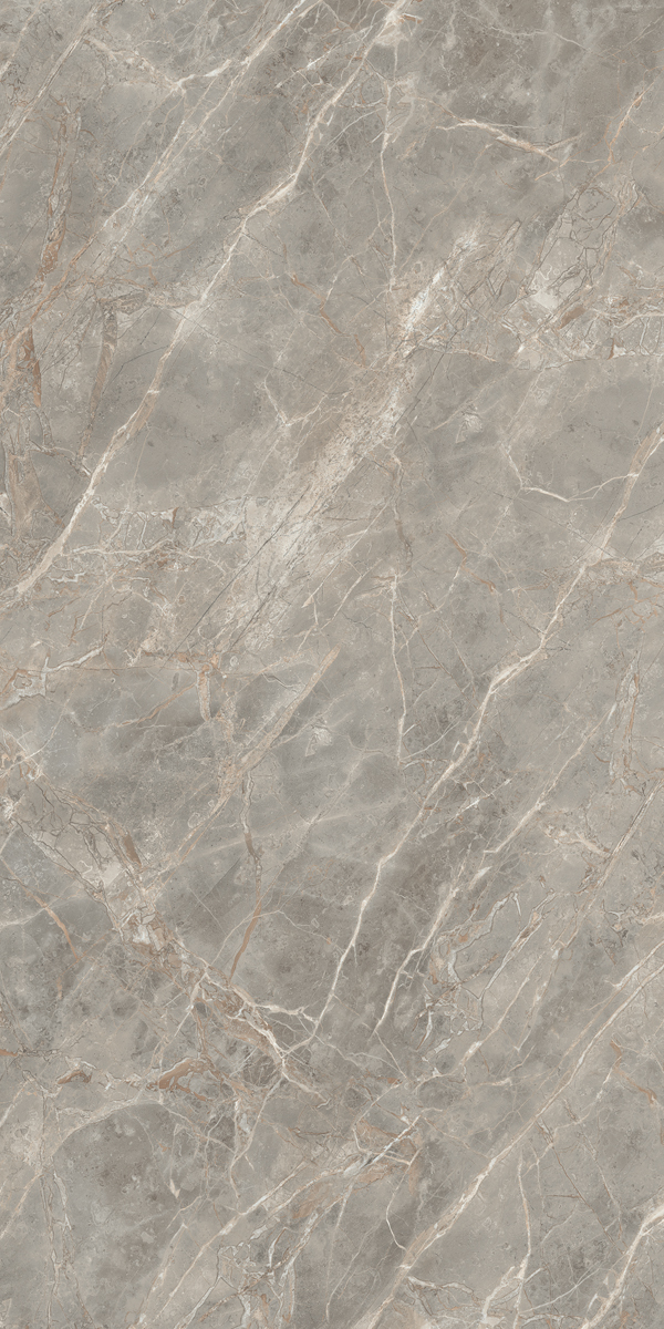 Керамогранит ETOILE GRIS GLO 6MM 120X240 RET арт. 83567