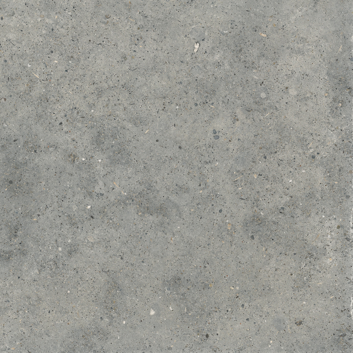 Керамогранит PTR.STONE PIRET N.GRET Y NAT RET 60X60 арт. 209157