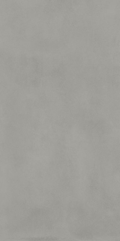 Boost Balance Grey 60x120 Matt арт. 80080