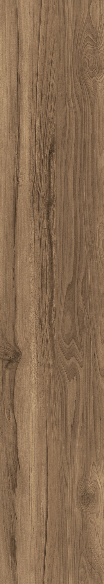 FOSSIL WOOD WENGE арт. 123091
