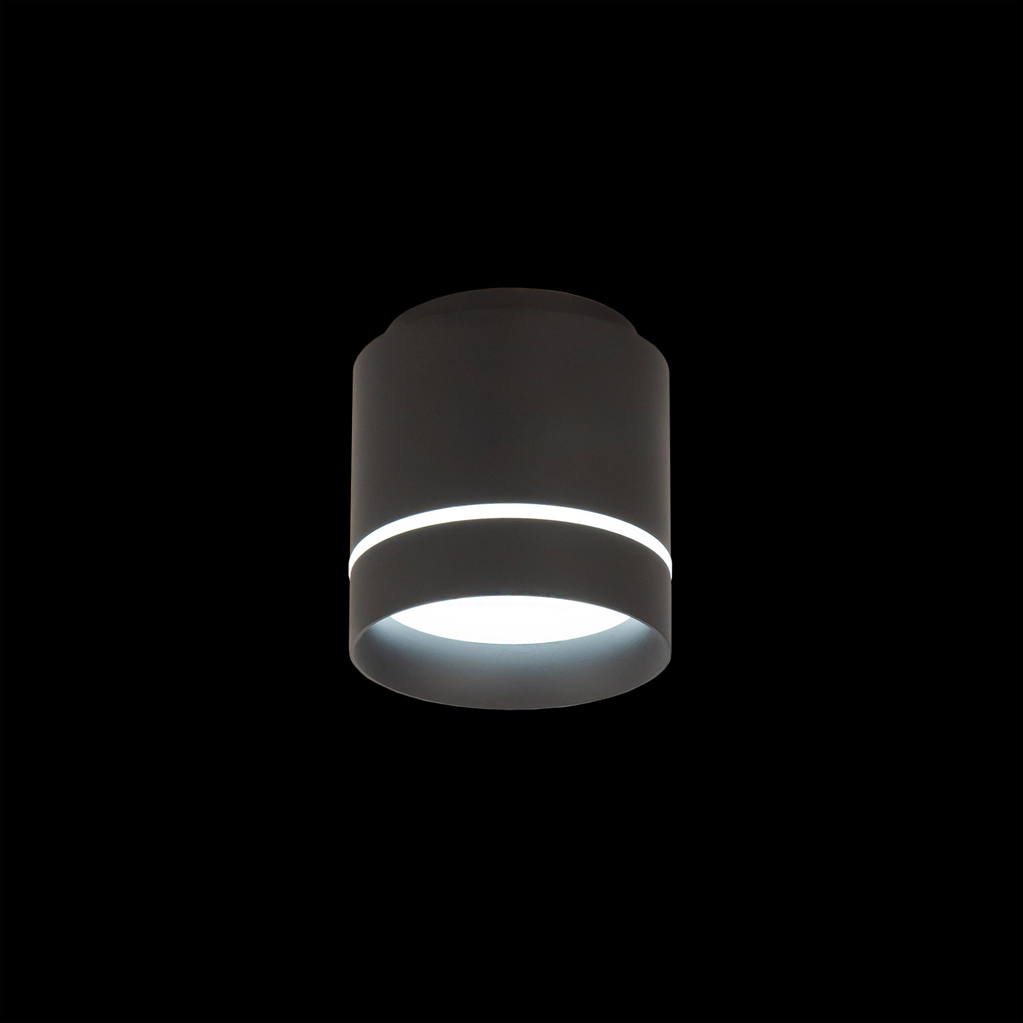 Citilux Борн CL745021N LED Светильник накладной Чёрный арт. 88668