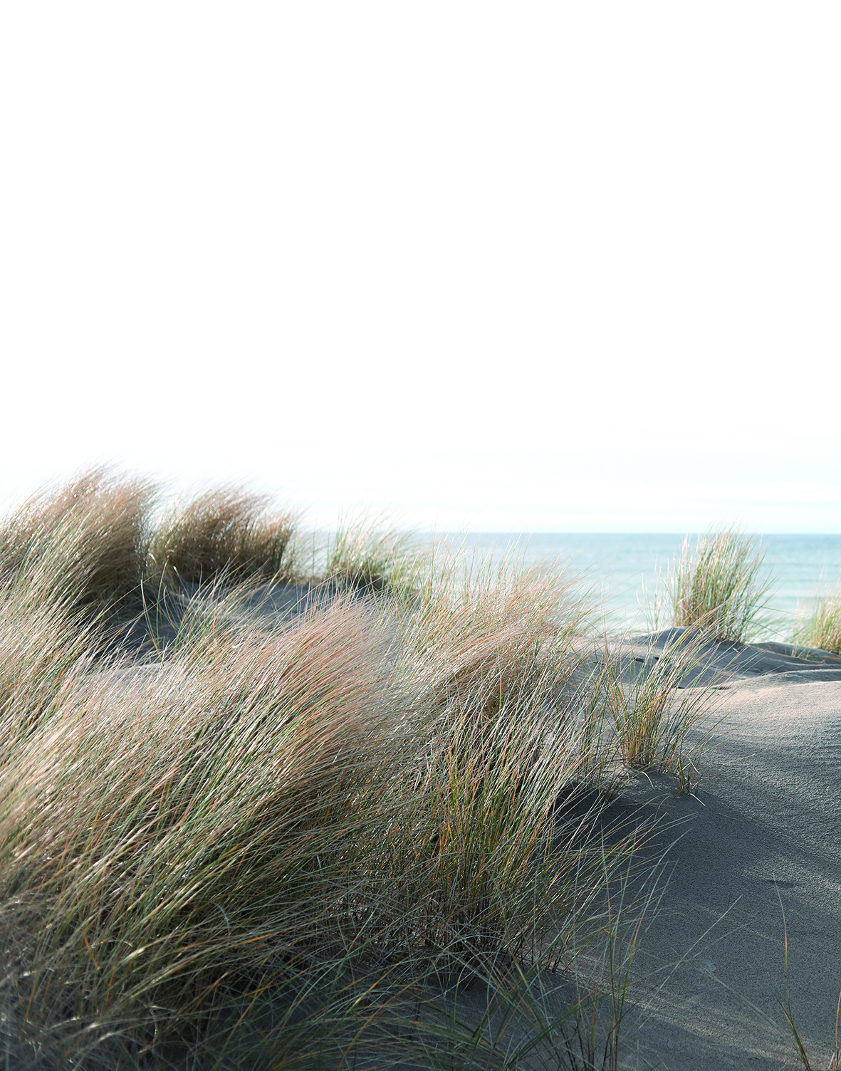 47219 Панно Marburg (1*6) 2,70x2,12 винил на флизелине арт. 107091