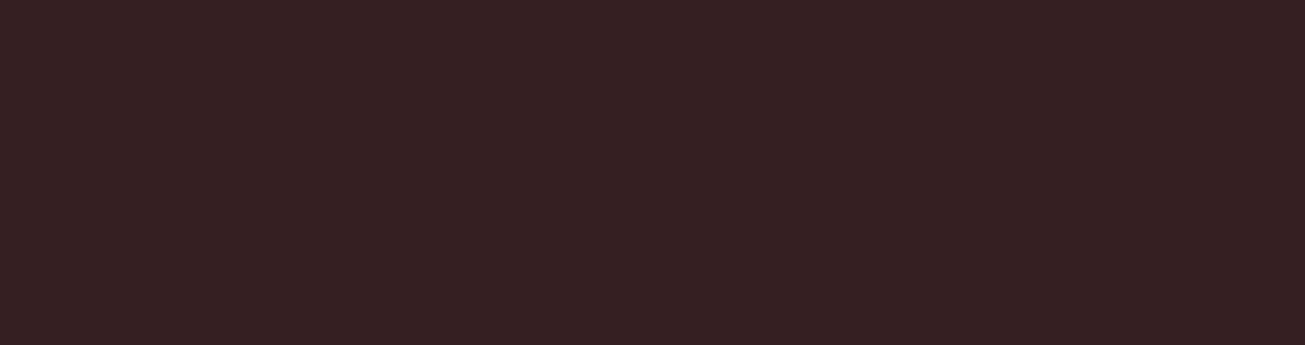 Natural Brown Ele Плитка фасадная гладкая 24,5х6,58х0,74 арт. 202547