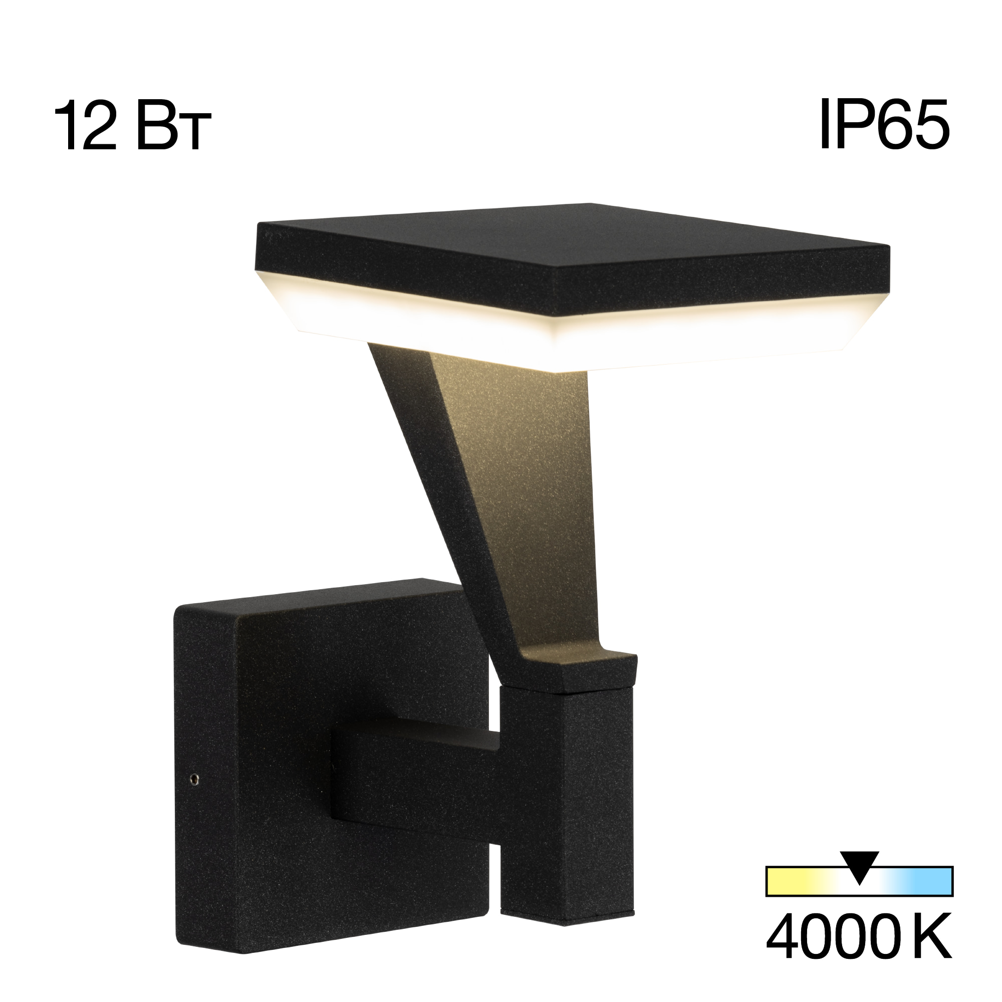 Citilux Krid CLU06W LED Уличный настенный светильник Графит арт. 89162