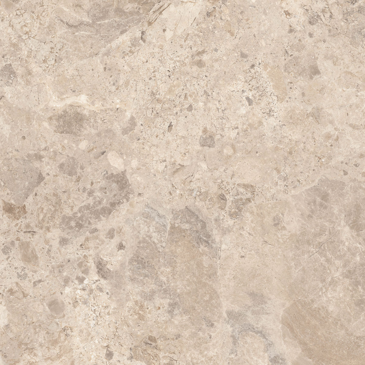 Керамический гранит  ERA BLOOM. TAUPE NAT R120X120 арт. 126252