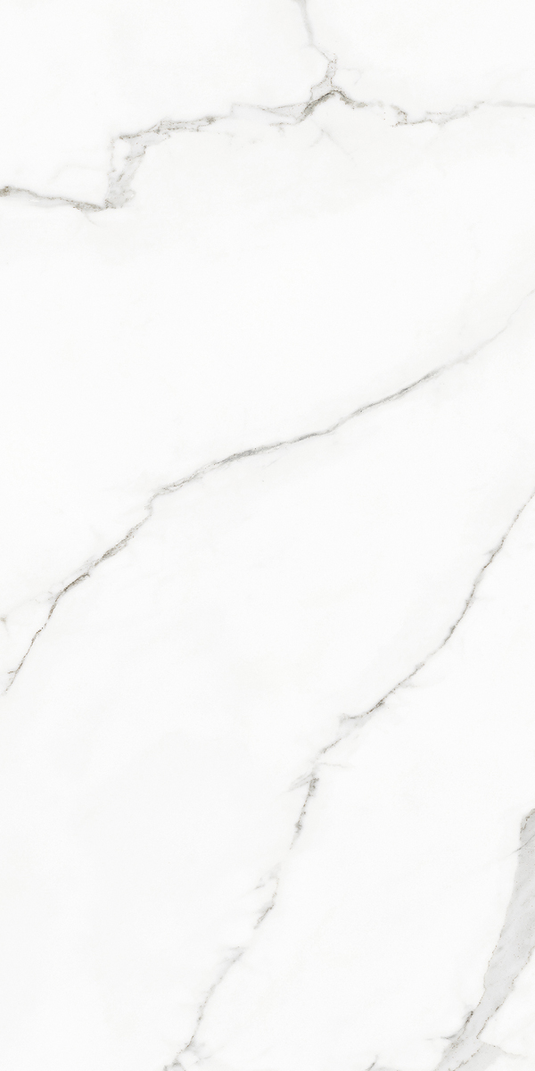 Керамогранит RHAPSODY WHITE BEAUTY LEV RET 60X120 арт. 83009